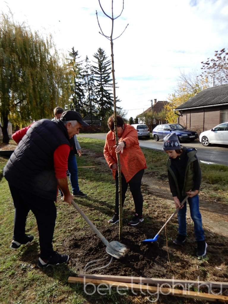 Közösségi faültetés Berettyóújfaluban 10
